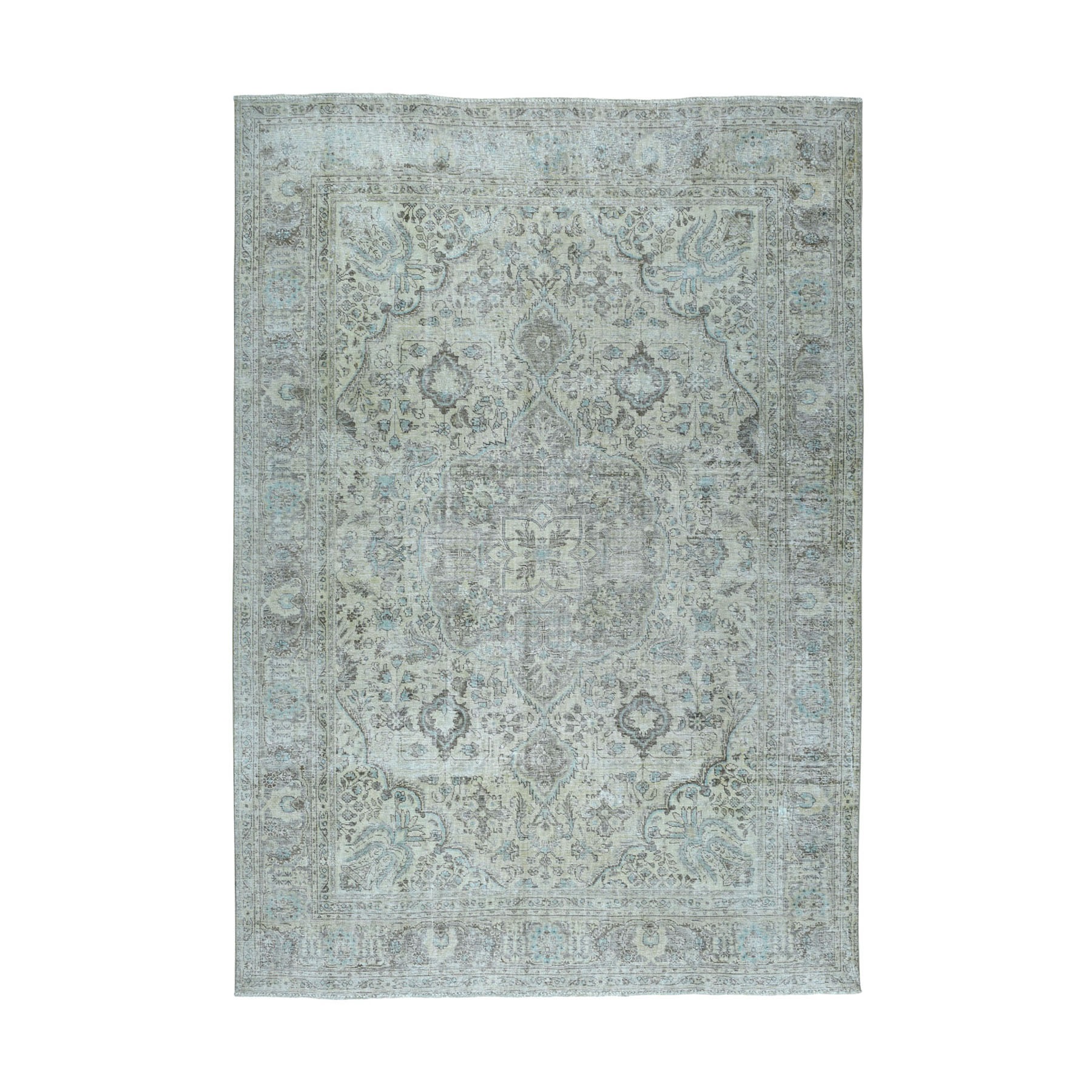 Transitional Wool Hand-Knotted Area Rug 6'8